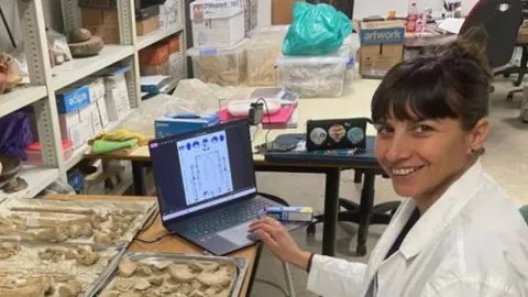 Vida Inesperada: Reconstruyen 2.700 Años de Historia en Italia Revelando Sorpresas en Dieta y Estatus Social