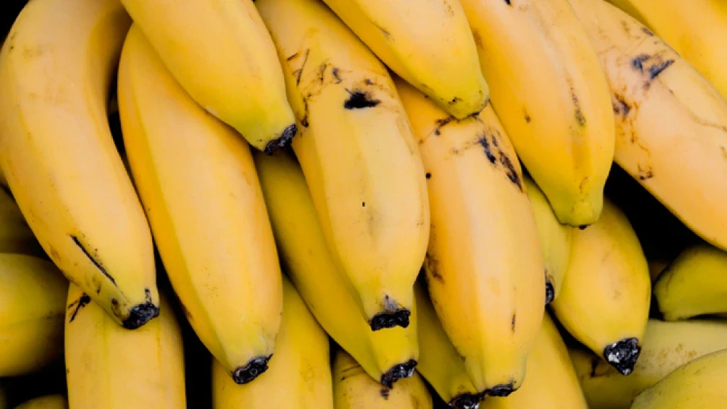 Profeco Revela: ¿Dónde Comprar Plátanos y Manzanas Más Baratos? ¡Ahorra en Tu Canasta Básica!
