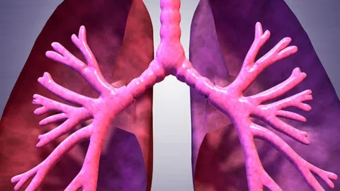 Legionella en Oficinas y Hogares: Guía para Prevenir Brotes y Proteger tu Salud