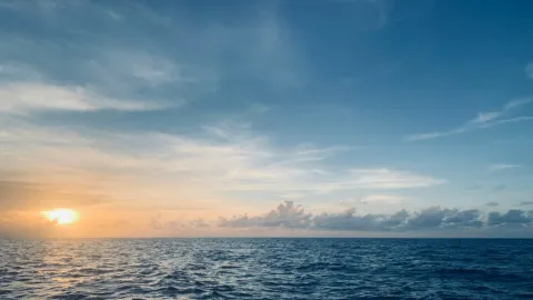 Alerta Global: Océano Índico Pierde Salinidad por Más de 50 Años con Riesgo de Alteración Climática