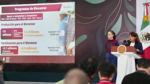 Programas para el Bienestar del campo se entregan a 13 millones de productores