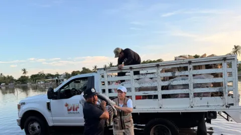 Atienden a familias afectadas por inundaciones generadas por mareas en el estado